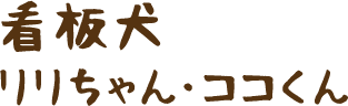 看板犬 リリちゃん・ココくん