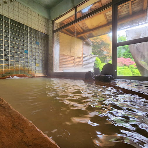 炭酸泉の湯