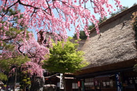 下呂温泉　合掌村