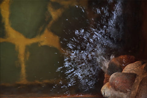 施設ギャラリー