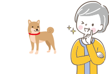 奇跡の温泉ストーリー