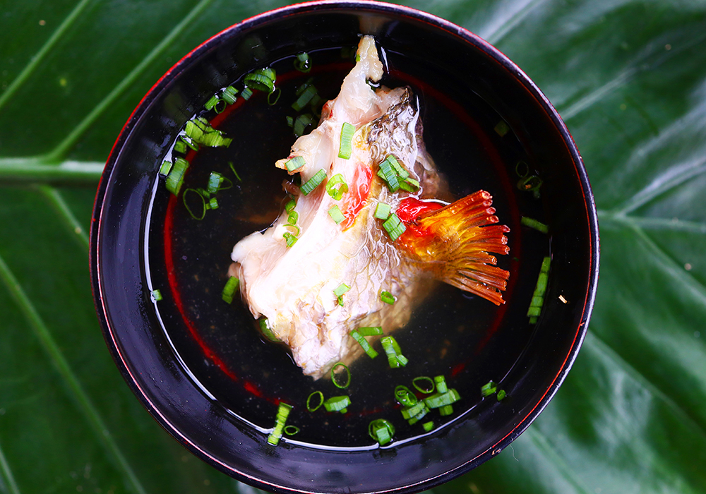 海の幸と旬の素材コース