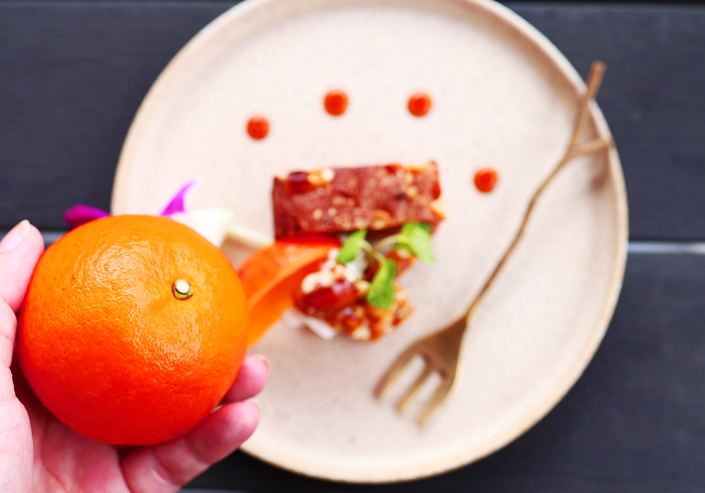 海の幸と旬の素材コース