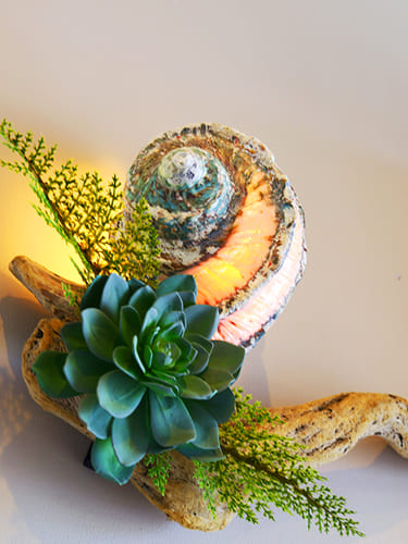 デラックスツイン